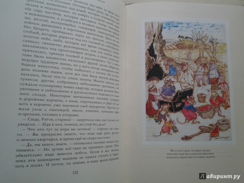 Иллюстрация 34 из 54 для Ветер в ивах - Кеннет Грэм | Лабиринт - книги. Источник: Olga