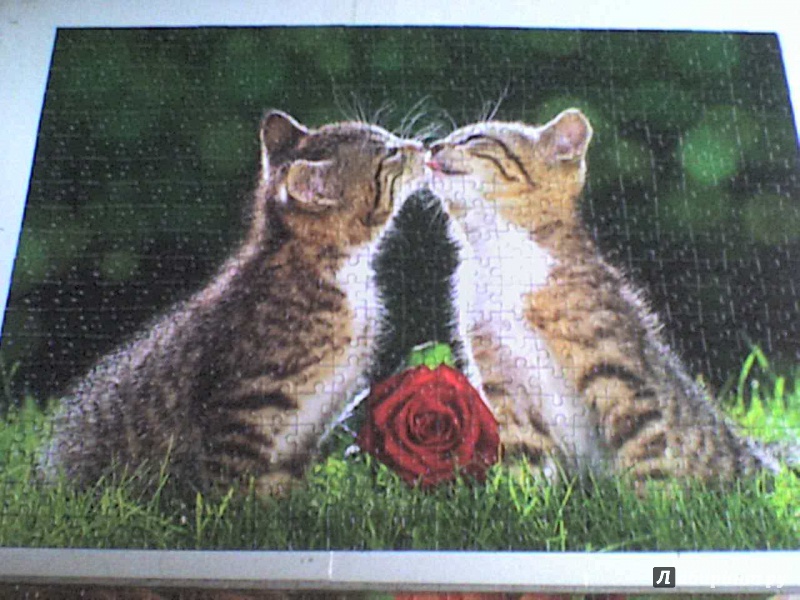 Иллюстрация 2 из 7 для Puzzle-500. Два котенка (B-51625) | Лабиринт - игрушки. Источник: Роза с шипами