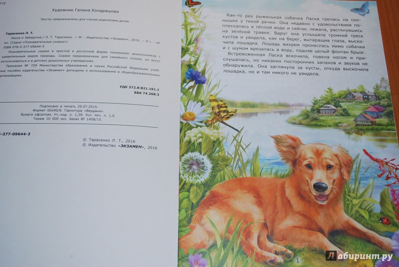 Иллюстрация 2 из 6 для Ласка и Звездочка - Лариса Тарасенко | Лабиринт - книги. Источник: Нади