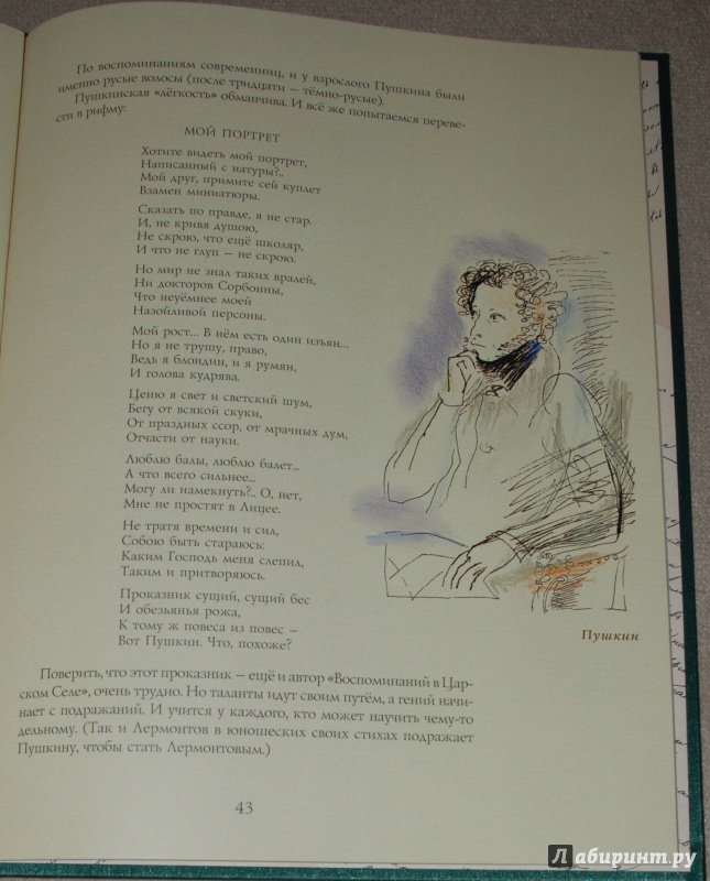 Иллюстрация 8 из 58 для Воспоминания в Царском Селе - Александр Пушкин | Лабиринт - книги. Источник: Книжный кот