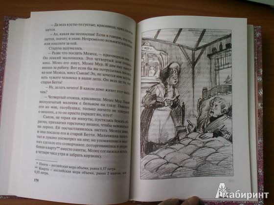 Иллюстрация 16 из 18 для Девичий мирок (история одной школы) - Элизабет Мид-Смит | Лабиринт - книги. Источник: lettrice