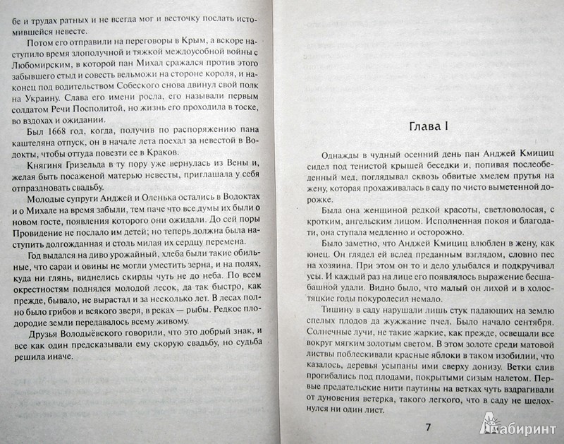 Иллюстрация 4 из 26 для Пан Володыёвский - Генрик Сенкевич | Лабиринт - книги. Источник: Леонид Сергеев