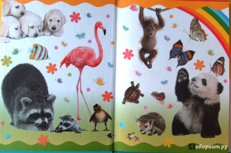 Иллюстрация 24 из 37 для Животные | Лабиринт - книги. Источник: Соловьев  Владимир