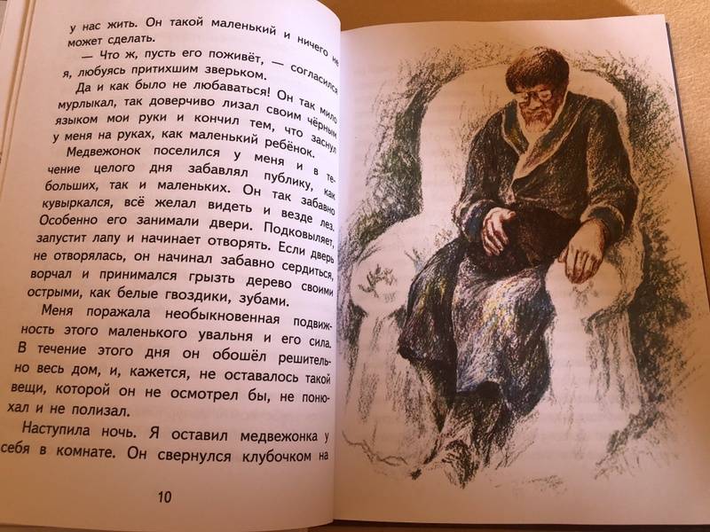 Иллюстрация 8 из 62 для Медведко - Дмитрий Мамин-Сибиряк | Лабиринт - книги. Источник: Вегерина  Инна