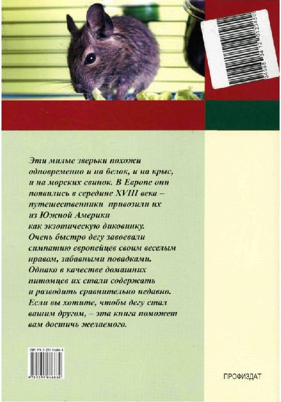 Иллюстрация 16 из 33 для Дегу. Уход и содержание - Лидия Максимова | Лабиринт - книги. Источник: Юта