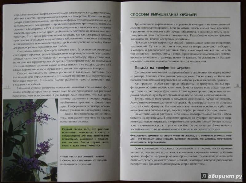 Иллюстрация 3 из 8 для Секреты ухода за орхидеями - Александр Зайцев | Лабиринт - книги. Источник: Катерина