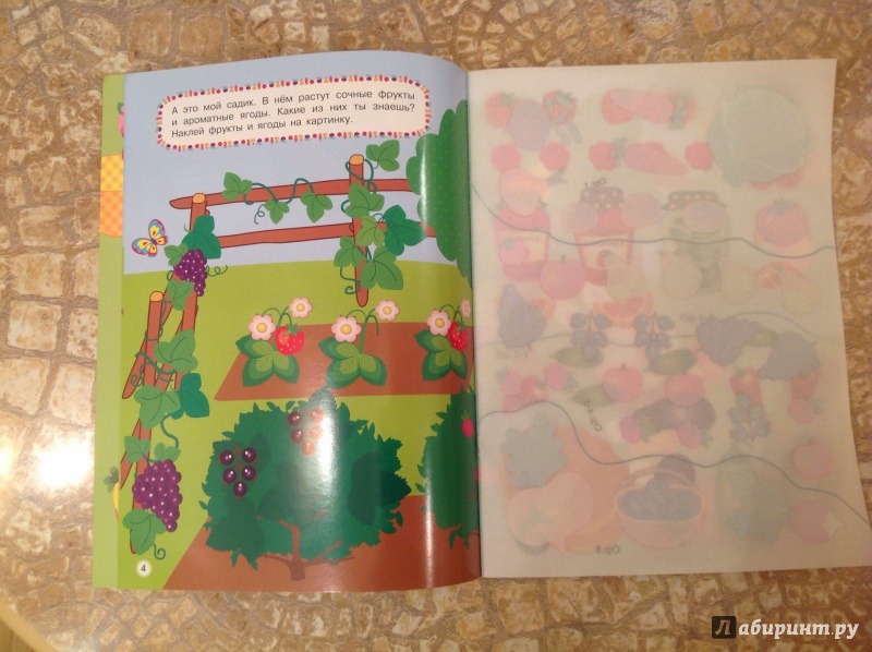 Иллюстрация 17 из 40 для Овощи-фрукты | Лабиринт - игрушки. Источник: Кононова Мария