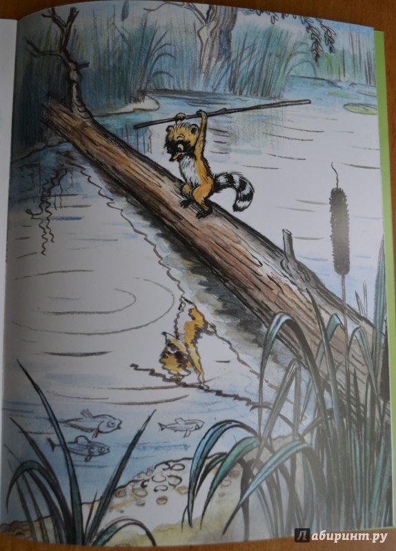 Иллюстрация 45 из 97 для Крошка Енот и тот, кто сидит в пруду - Лилиан Муур | Лабиринт - книги. Источник: Alice R