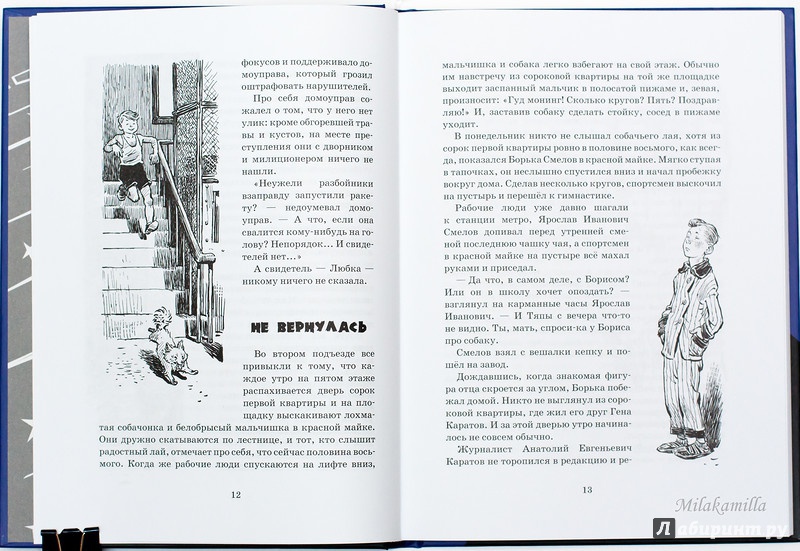 Иллюстрация 41 из 65 для Тяпа, Борька и ракета - Баранова, Велтистов | Лабиринт - книги. Источник: Букландия