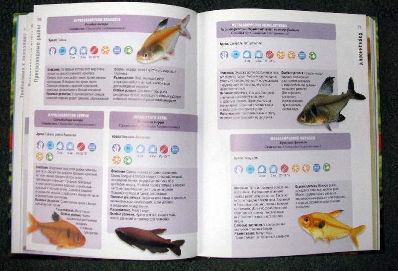 Иллюстрация 1 из 3 для Справочник по аквариумным рыбам. Руководство по содержанию и уходу - Миллс, Ламберт | Лабиринт - книги. Источник: Катерина
