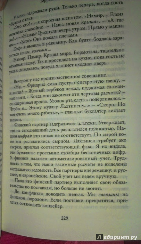 Иллюстрация 8 из 10 для Неприкаянный дом - Елена Чижова | Лабиринт - книги. Источник: Annexiss