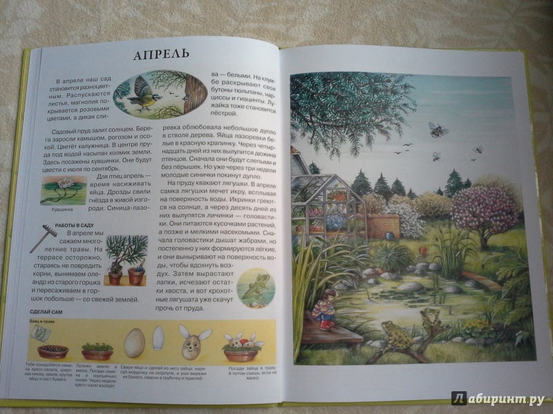 Иллюстрация 24 из 43 для Год в саду - Сюзанна Риха | Лабиринт - книги. Источник: Селезнева  Оксана