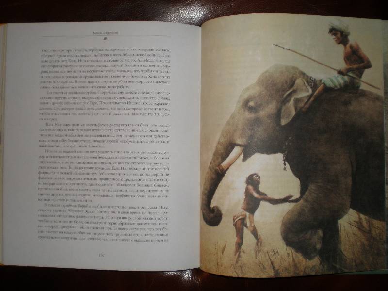Иллюстрация 83 из 164 для Книга джунглей - Редьярд Киплинг | Лабиринт - книги. Источник: Гостья