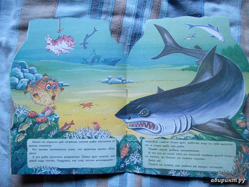 Иллюстрация 4 из 27 для Морские загадки - Святослав Сахарнов | Лабиринт - книги. Источник: Avril