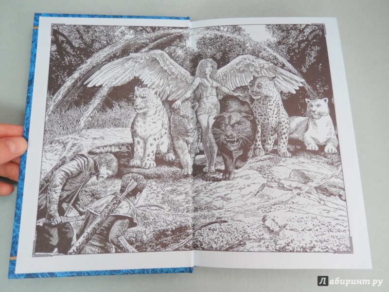 Иллюстрация 4 из 10 для Одинокий Демон. Говорящий со зверями - Андрей Кощиенко | Лабиринт - книги. Источник: dbyyb