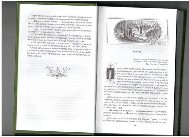 Иллюстрация 5 из 6 для Пионеры, или У истоков Саскуиханны - Джеймс Купер | Лабиринт - книги. Источник: Капочка