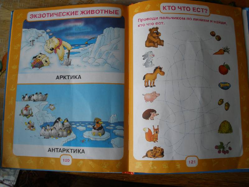 Иллюстрация 77 из 105 для Первый учебник малыша. От 6 месяцев до 3 лет - Олеся Жукова | Лабиринт - книги. Источник: sunrab
