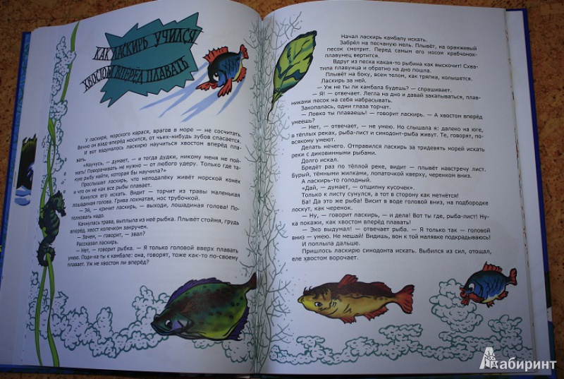 Иллюстрация 39 из 51 для Морские сказки - Святослав Сахарнов | Лабиринт - книги. Источник: КНИЖНОЕ ДЕТСТВО