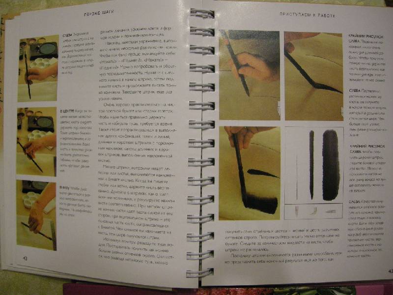 Иллюстрация 48 из 51 для Китайская живопись кистью - Вив Фостер | Лабиринт - книги. Источник: Chedi