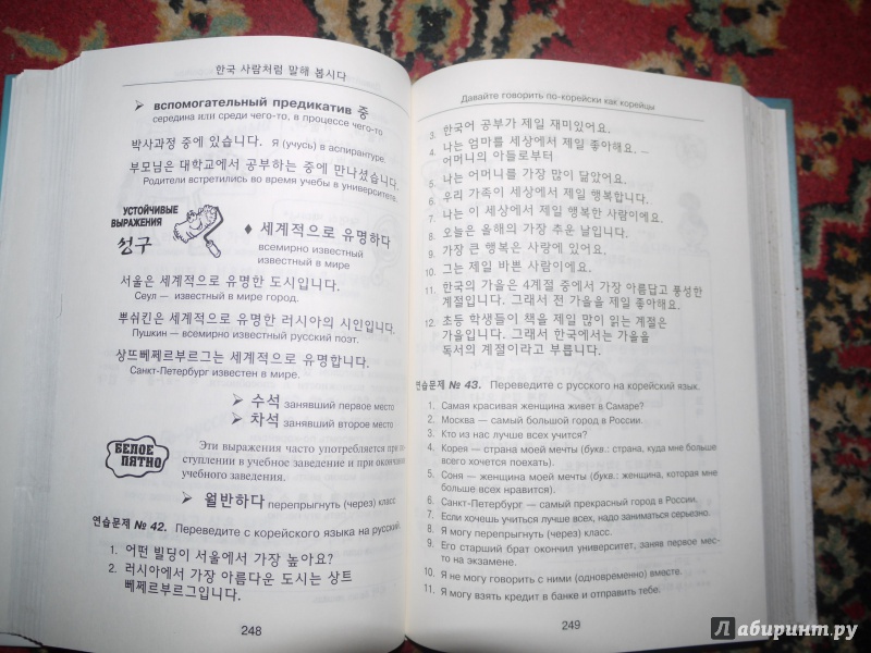 Иллюстрация 13 из 20 для Корейский язык. Вводный курс - Ян Чой | Лабиринт - книги. Источник: Loreley