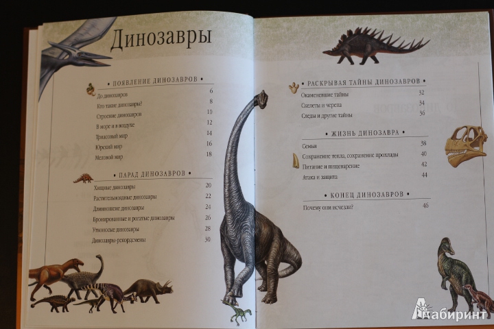 Иллюстрация 40 из 45 для Динозавры и рептилии | Лабиринт - книги. Источник: LittleDragon