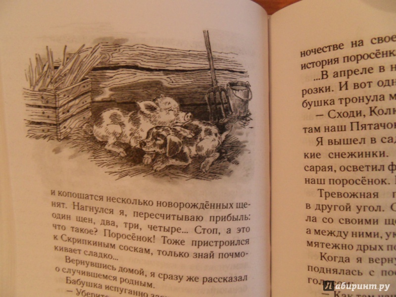 Иллюстрация 22 из 36 для Охотничья избушка - Николай Красильников | Лабиринт - книги. Источник: Елена