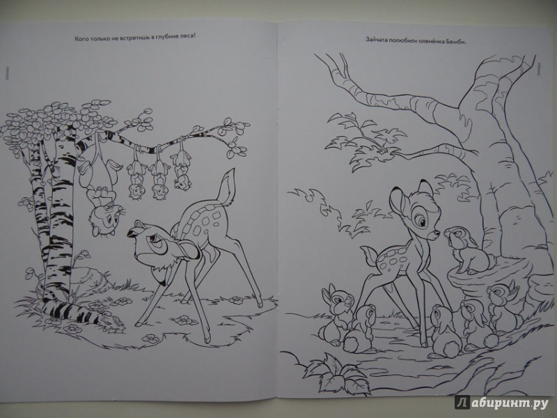 Иллюстрация 11 из 20 для Волшебная раскраска. Бемби (№14022) | Лабиринт - книги. Источник: Мелкова  Оксана