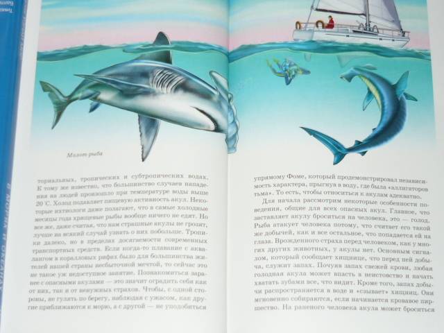 Иллюстрация 5 из 13 для Акулы и скаты - Юлия Дунаева | Лабиринт - книги. Источник: Ромашка:-)
