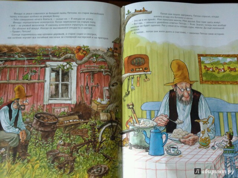 Иллюстрация 69 из 102 для История о том как Финдус потерялся, когда был маленьким - Свен Нурдквист | Лабиринт - книги. Источник: Юлия