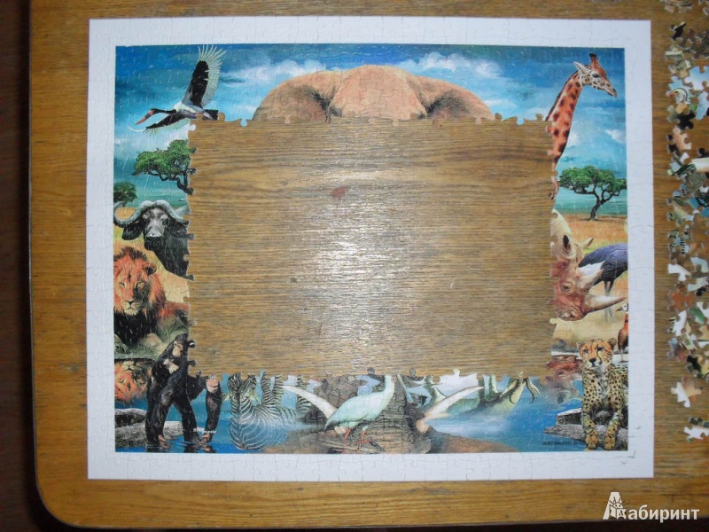 Иллюстрация 4 из 11 для Step Puzzle-500. "Мир животных" (98011) | Лабиринт - игрушки. Источник: Ишимбаев  Владимир