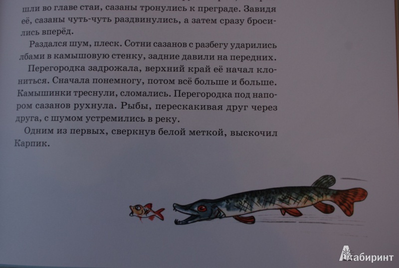 Иллюстрация 55 из 65 для Приключения Карпика - Андрей Клыков | Лабиринт - книги. Источник: Алонсо Кихано