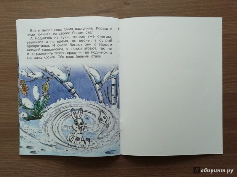 Иллюстрация 14 из 34 для Заяц Коська и родничок - Николай Грибачев | Лабиринт - книги. Источник: Гошева  Елена