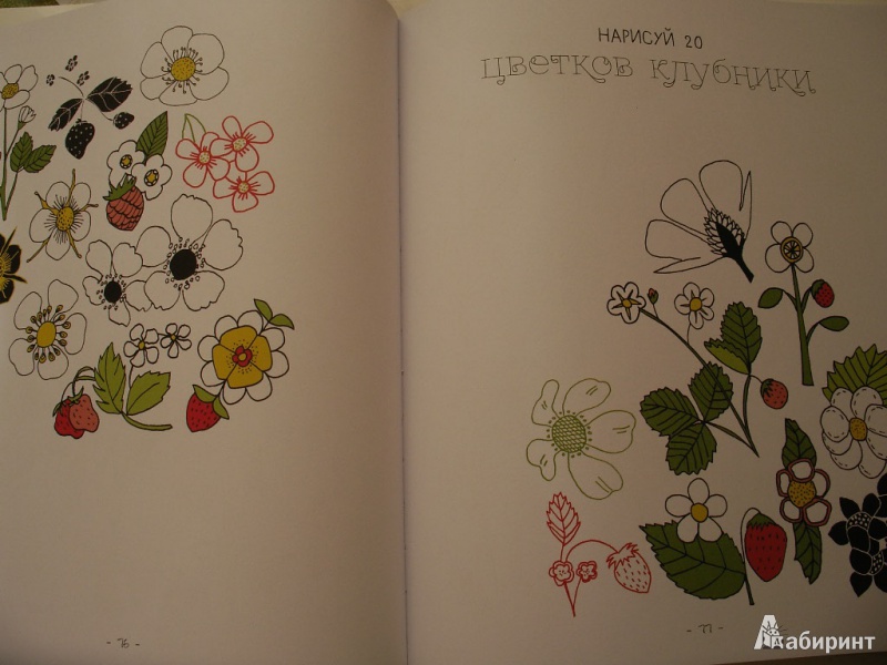 Иллюстрация 7 из 38 для 20 способов нарисовать тюльпан и 44 других прекрасных цветка - Лиза Конгдон | Лабиринт - книги. Источник: Tiger.