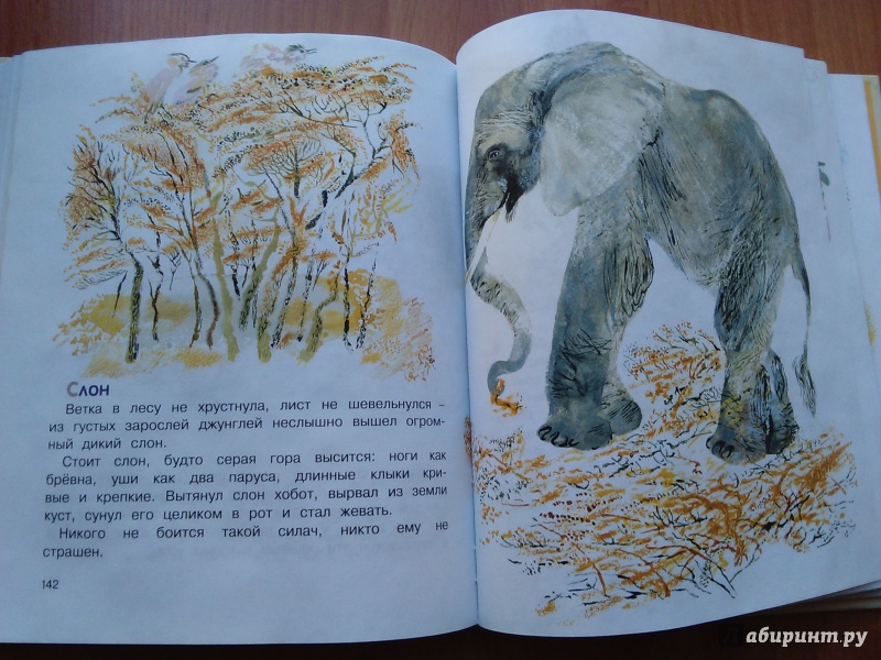 Иллюстрация 54 из 61 для Друзья - Евгений Чарушин | Лабиринт - книги. Источник: Ольга