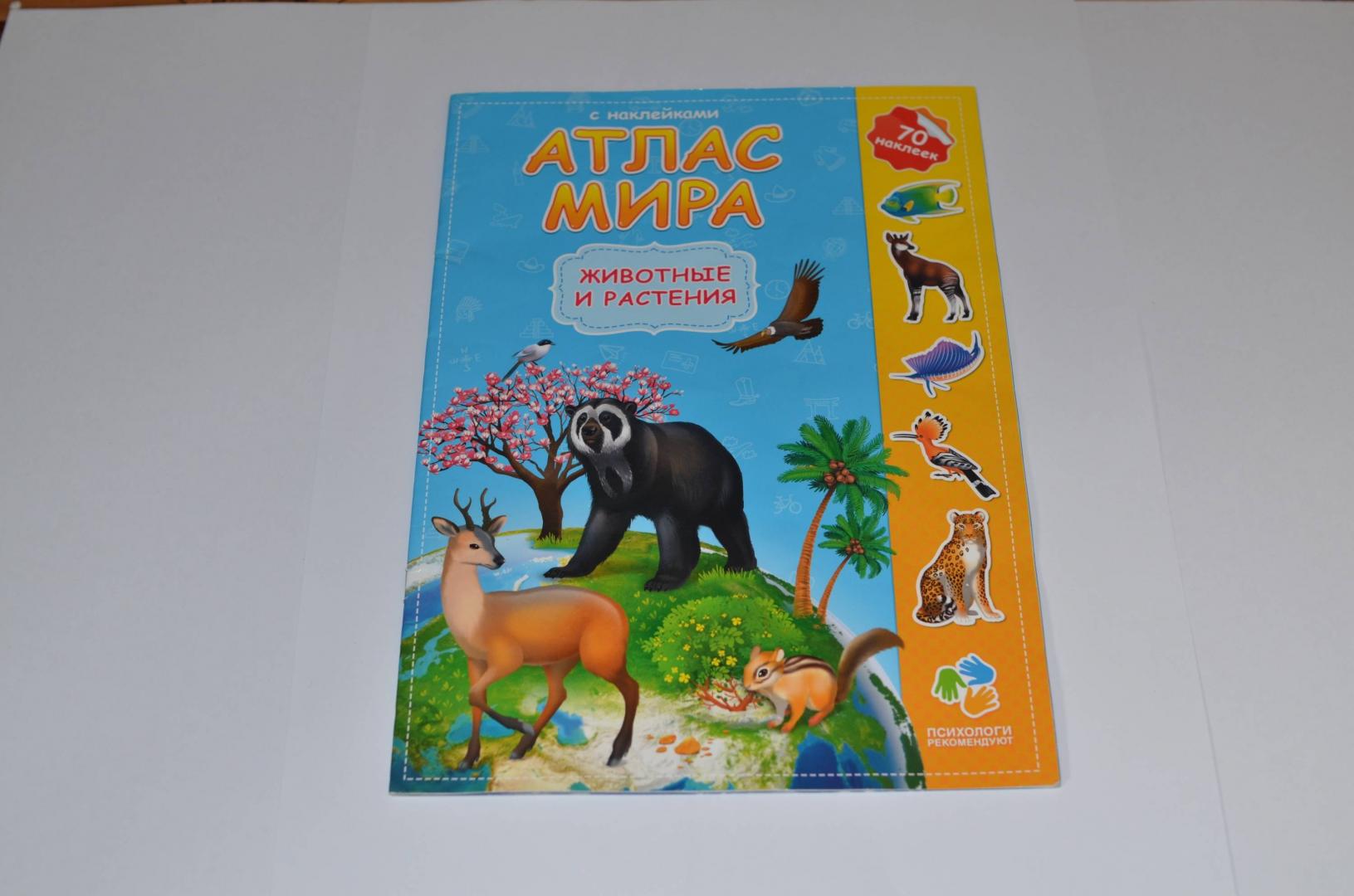 Иллюстрация 8 из 16 для Атлас Мира с наклейками. Животные и растения | Лабиринт - книги. Источник: Anvlan