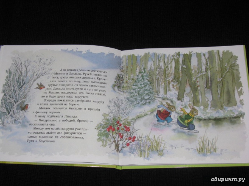 Иллюстрация 28 из 75 для Истории Орехового леса - Пегги Бартон | Лабиринт - книги. Источник: Nemertona