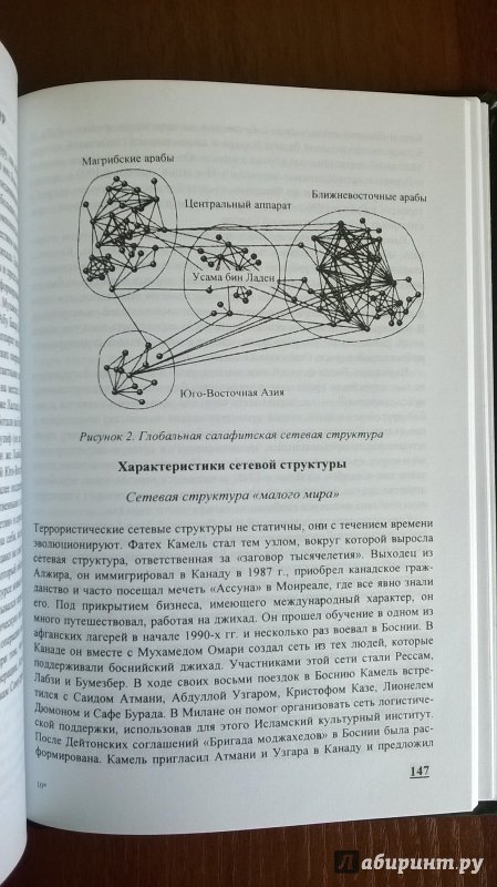 Иллюстрация 11 из 11 для Сетевые структуры терроризма - Марк Сейджман | Лабиринт - книги. Источник: RUS-55-54