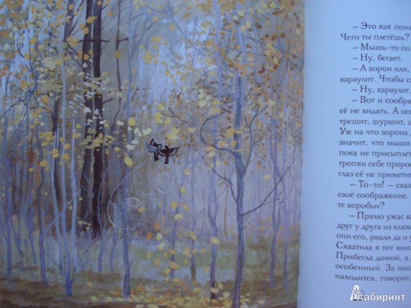 Иллюстрация 80 из 144 для Сказки - Константин Паустовский | Лабиринт - книги. Источник: Blackboard_Writer
