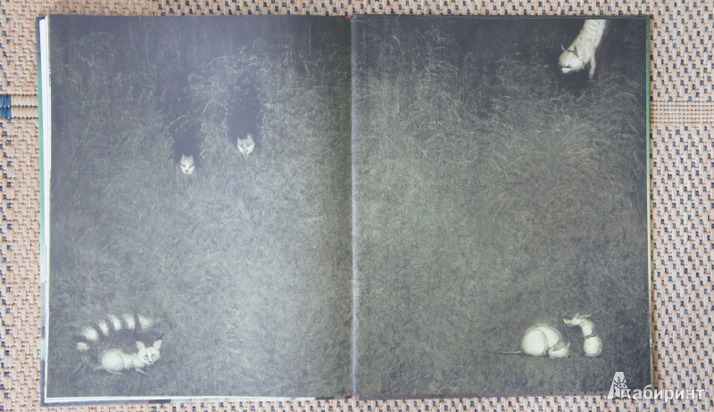 Иллюстрация 39 из 40 для Дикие лебеди - Ганс Андерсен | Лабиринт - книги. Источник: Марфа Х.К.