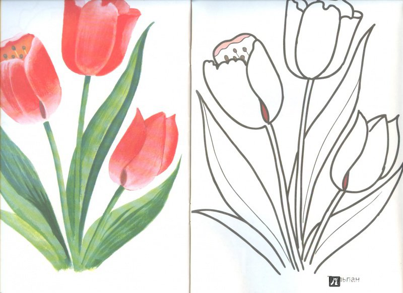 Иллюстрация 7 из 16 для Цветы садовые | Лабиринт - книги. Источник: Яровая Ирина