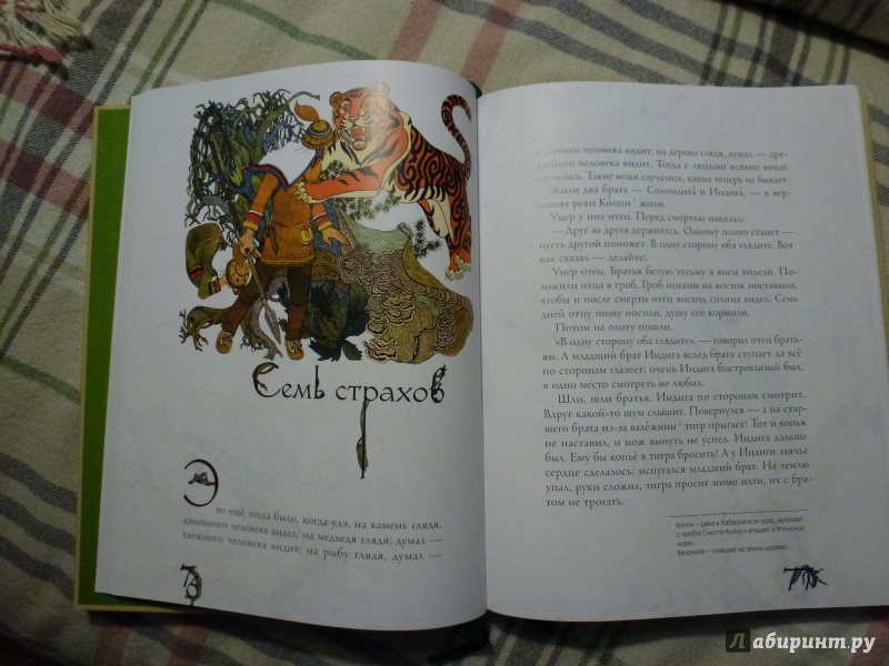 Иллюстрация 86 из 97 для Амурские сказки - Дмитрий Нагишкин | Лабиринт - книги. Источник: Екатерина