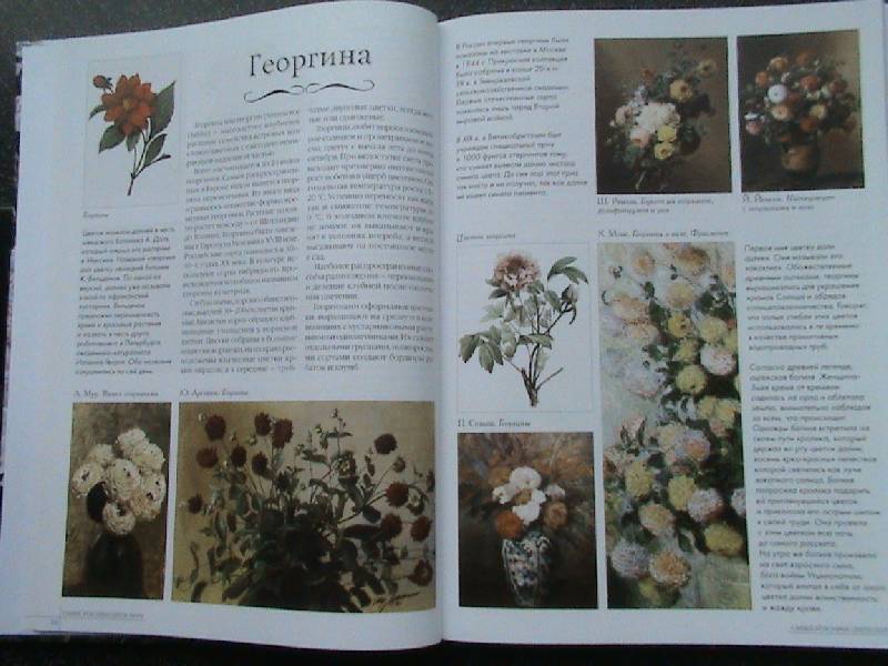 Иллюстрация 5 из 44 для Самые красивые цветы мира | Лабиринт - книги. Источник: Обычная москвичка