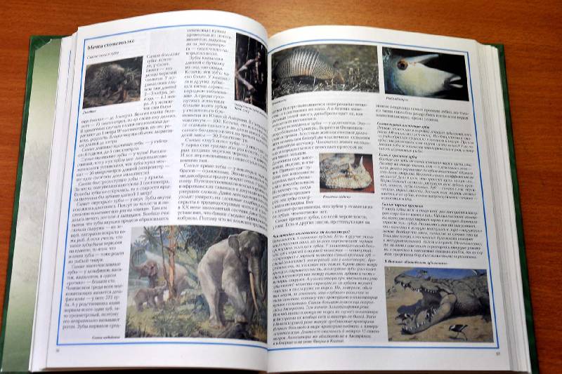 Иллюстрация 34 из 44 для Чудеса живой природы - Калашников, Лаврова | Лабиринт - книги. Источник: Ассоль