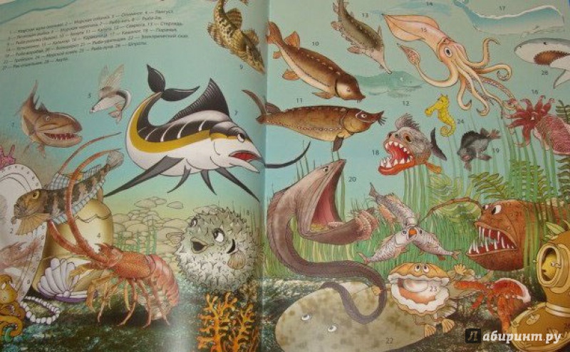 Иллюстрация 8 из 17 для Морская азбука - Андрей Усачев | Лабиринт - книги. Источник: Половинка  Юля