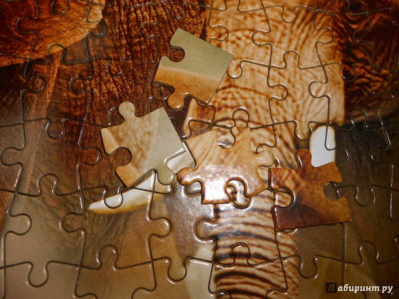 Иллюстрация 2 из 9 для Puzzle-260 "Бегущие слоны" (КБ260-4007) | Лабиринт - игрушки. Источник: Леан