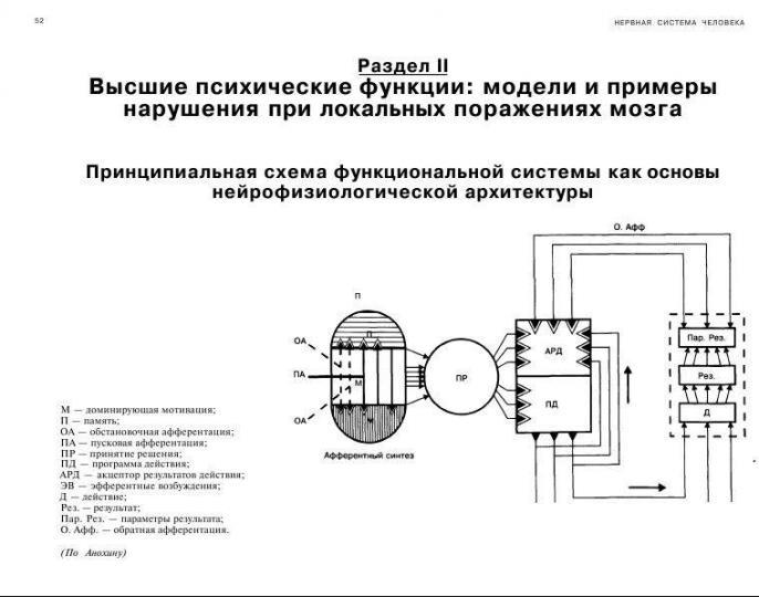 Классификация функциональных систем