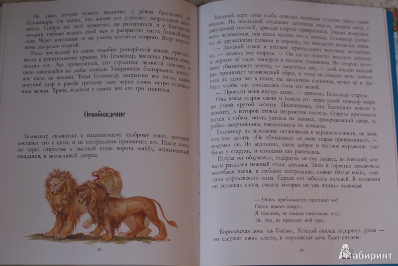 Иллюстрация 37 из 43 для Сказки о принцессах, королях и колдунах | Лабиринт - книги. Источник: ИринаС