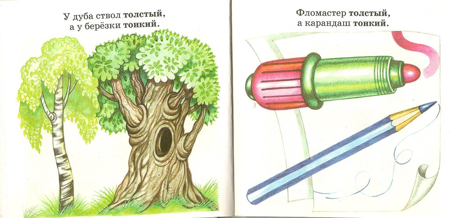 Иллюстрация 1 из 2 для Противоположности - Юлия Соколова | Лабиринт - книги. Источник: farnor