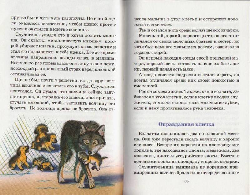 Иллюстрация 20 из 34 для Фомка - белый медвежонок - Вера Чаплина | Лабиринт - книги. Источник: Наталья'