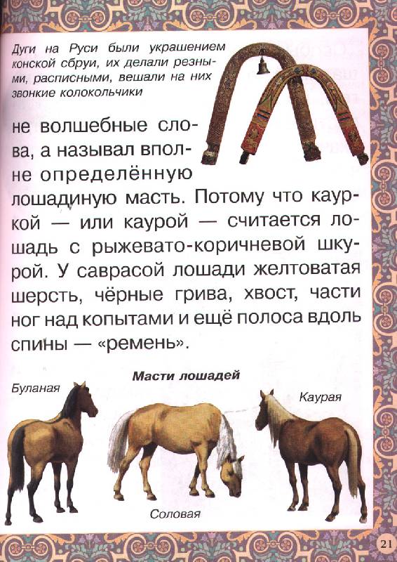 Иллюстрация 4 из 17 для Наша добрая лошадка - Наталия Ермильченко | Лабиринт - книги. Источник: OOlga